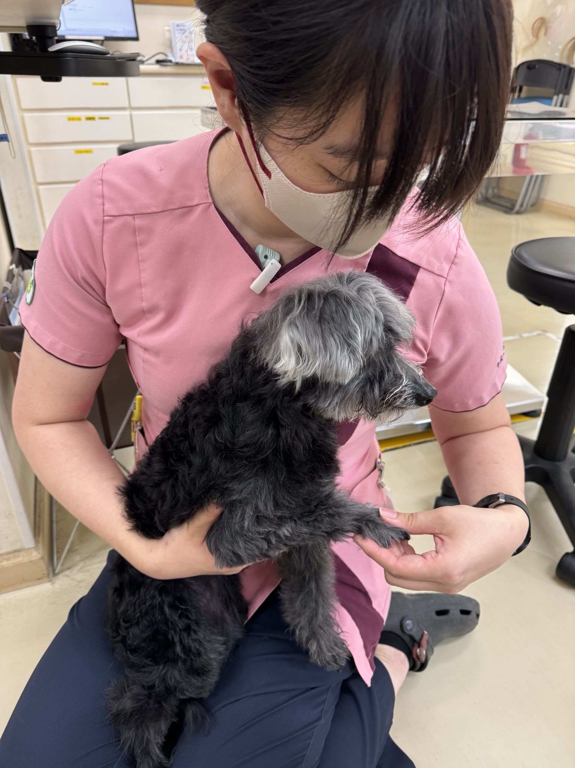 りんごの樹動物病院