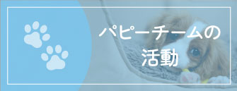 りんごの樹動物病院