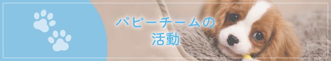 りんごの樹動物病院